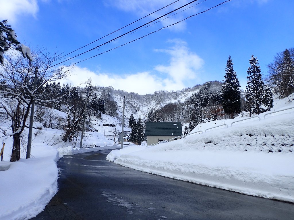 冬の到来 竹之高地だより